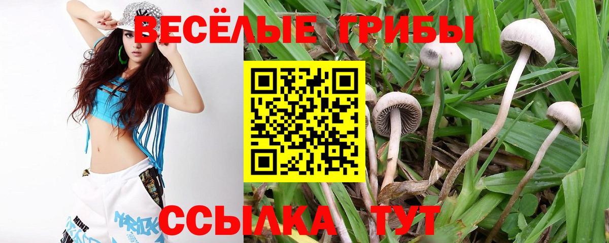 Галлюциногенные грибы прущие грибы Торжок