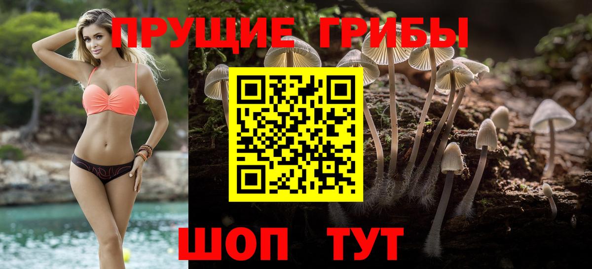 Торжок  Галлюциногенные грибы Psilocybe  Вход с VPN  Псилоцибиновые грибы мицелий 